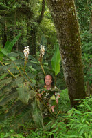 Patrick Blanc among huge Alpinia zerumbet, Phu Rua NP, Thailand