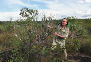 Patrick Blanc among old Vellozia tubiflora individuals, Cano Cristales, Meta, Colombia, Oct. 2016