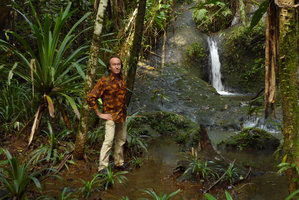 Patrick Blanc among seedlings of Pandanus joskei in their riparian and somewhat rheophytic habitat, Colo-I-Suva, Viti Levu, Fiji, Aug. 2016