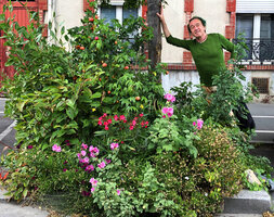 Patrick Blanc among the 60 species of his 3m2 street planter, June 2020
