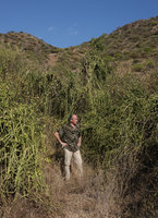 Patrick Blanc among the curtaining stems of the climbing Cissus quadrangularis, Lake Abaya, Arba Minch, Ethiopia, Jan. 2019