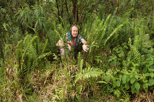 Patrick Blanc among the erect fronds of Nephrolepis abrupta on an old lava flow, Sainte-Rose, La Reunion, Oct. 2015
