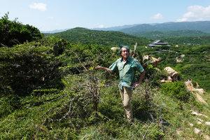 Patrick Blanc among the fiercely spiny branches of Catunaregam cf. spinosa, Nui Chua NP, Vietnam, Nov. 2019