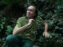 Patrick Blanc among the flowering naturalized Saxifraga stolonifera in a shaded gully, Como lake, Italy, June 2015