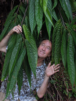 Patrick Blanc among the giant leaves of an Annonaceous shrub, Tasik Kenyir, Trengganu, Malaysia, July 2013