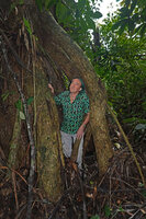 Patrick Blanc among the huge stilt roots of Dracaena arborea, Campo, Cameroon, Sept. 2023