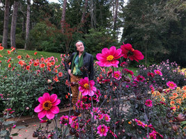 Patrick Blanc among the new Dahlia cultivars of the national collection, Parc Floral, Paris, Oct. 2019