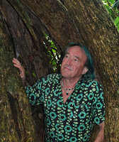 Patrick Blanc among the pillar stilt roots of Dracaena arborea, Campo, Cameroon, Sept. 2023