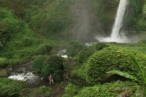 Patrick Blanc among the rocks covered by Elatostema, Pelangi waterfall, Malang, Java, April 2018