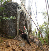 Patrick Blanc among the roots of a Ficus embracing a big boulder, Mali, Feb 2006