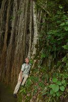 Patrick Blanc among the roots of a Ficus growing on a limestone cliff close to cave entrance, Payakumbuh, West Sumatra, Dec. 2016