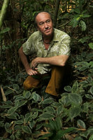 Patrick Blanc among the silver margined leaves of an Urticaceae, probably Elatostema latifolium, Ranong, Thailand, March 2017