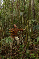 Patrick Blanc among the stilt roots of Pandanus whitmeeanus, Colo-I-Suva, Viti Levu, Fiji, Aug. 2016