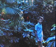Patrick Blanc among tropical plants in the glasshouse, Lisbon Botanical Garden, Aug. 1965