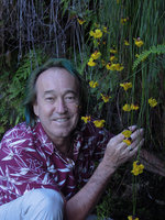 Patrick Blanc among Xyris ustulata flowering on a rock ledge beside a waterfall, Blue Mountains, NSW, Australia, Jan 2014