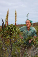Patrick Blanc and a branched flowering individual of Dracophyllum verticillatum, Riviere Bleue, New Caledonia, Aug. 2023