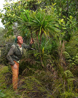 Patrick Blanc and a branched Lomandra insularis with Fagraea berteroana in the background, Parc Riviere Bleue, New Caledonia, Aug. 2023