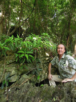 Patrick Blanc and a bright green long acuminate form of Pilea plataniflora on a limestone rock, Xishuangbanna, China, June 2016