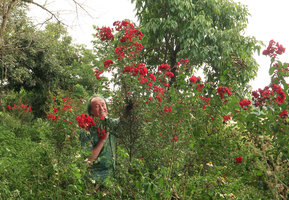 Patrick Blanc and a bright red cultivar of Lagerstroemia indica, Huizhou, Guangdong, China, Aug. 2018