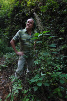 Patrick Blanc and Acalypha paniculata, large apical panicle of female flowers and narrow axillary spikes of male flowers along the leafy stem, Amani, 500 m asl, East Usambara, Tanzania, Jan. 2021