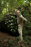 Patrick Blanc and Acanthonema strigosum, each individual with its expanded and accrescent leafy cotyledon,  Campo, Cameroun, March 2017