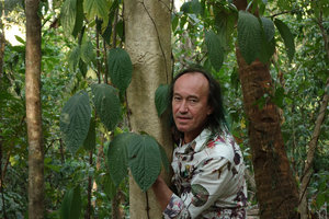 Patrick Blanc and a climbing Piper species, Tangkoko, Sulawesi, Aug. 2015