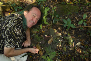 Patrick Blanc and a clump of Ardisia primulifolia growing  together with young Sarcandra glabra individuals, Victoria peak, Hong Kong, Oct. 2015