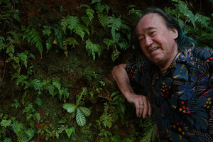 Patrick Blanc and Acrotrema walkeri, a form with all the main veins equally highlighted by bright white silver design, Makandawa FR, Sri Lanka, Nov. 2024