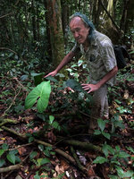 Patrick Blanc and Adelonema crinipes, Amacayacu NP, Leticia, Colombia, Nov. 2016