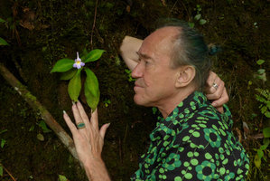 Patrick Blanc and a flowering Codonoboea curtisii on a vertical earth bank, Fraser&#039;s Hill, Malaysia, Dec. 2016