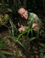 Patrick Blanc and a flowering individual of Podolasia stipitata, Endau Rompin NP, Malaysia, April 2017