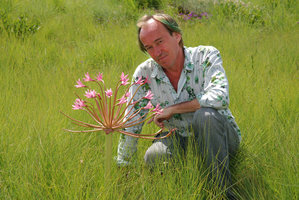 Patrick Blanc and a flowering leafless Brunsvigia, Monks Cowl, Drakensberg, South Africa, Jan. 2009