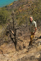 Patrick Blanc and a huge, old individual of Xerophyta kirkii,Lake Malawi NP, Aug. 2017