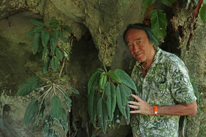 Patrick Blanc and a karst dwelling Gesneriaceae species hanging from a stalactite at cave entrance, Gunung Mulu NP, Sarawak, Borneo, Sept. 2018