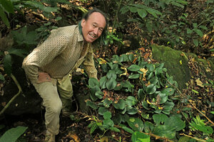Patrick Blanc and a large vegetative clump of Paracostus englerianus in rocky forest understory, Grotte à Buffles, Nkol Elon, Campo, Cameroon, March 2017