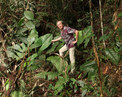 Patrick Blanc and Alocasia inornata, Fraser&#039;s Hill, Malaysia, Aug. 2018