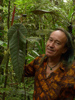 Patrick Blanc and a long peltate anthocyanic leaf of Macaranga vitiensis, Colo-I-Suva, Viti Levu, Fiji, Aug. 2016