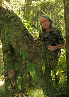 Patrick Blanc and a low epiphytic population of Streptocarpus cf. goetzei, the distal part of each phyllomorph withering during the dry season, Zomba, Malawi, Aug. 2017