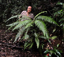 Patrick Blanc and Alsophila hookeri, Kanneliya FR, Sri Lanka, Nov. 2024
