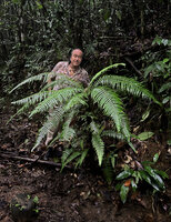 Patrick Blanc and Alsophila hookeri, Kanneliya, Sri Lanka, Nov. 2024
