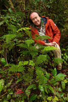 Patrick Blanc and Alsophila perpelvigera, a dwarf tree fern in forest understory, Tari, 2200 m asl, Hela, Papua New Guinea, March 2016