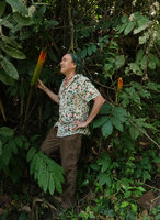 Patrick Blanc and Amorphophallus infructescences, Enrekang, South Sulawesi, June 2019