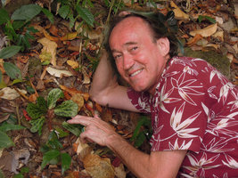 Patrick Blanc and a mottled form of Begonia blancii in its habitat, El Nido, Palawan, Philippines, March 2014