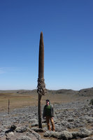 Patrick Blanc and an individual of Lobelia rhynchopetalum, dead after flowering and setting capsular fruits, Sanetti Plateau, Bale NP, Ethiopia, Jan. 2019