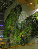 Patrick Blanc and a part of his Vertical Garden at night, Icon hotel, Hong Kong, Jan 2016