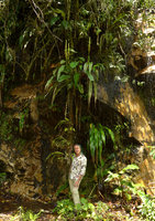 Patrick Blanc and a Pitcairnia population with yellowish inflorescence, growing on seeping rocks, Villavicencio, Meta, Colombia, Nov.. 2016