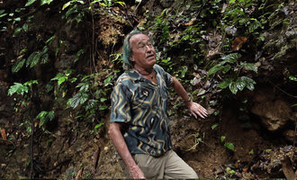 Patrick Blanc and a population of Begonia augustae on a vertical limestone cliff, War Inkabom Waterfall, Batanta, West Papua, May 2025