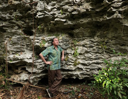 Patrick Blanc and a population of Begonia siccacaudata on a shaded vertical karst cliff, Rammang Rammang, Maros, South Sulawesi, June 2019