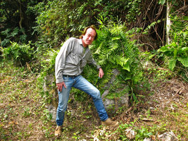 Patrick Blanc and a Pothos species covering a limestone rock, Halong Bay, Vietnam, Jan. 2007