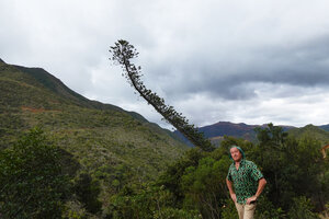 Patrick Blanc and Araucaria scopulorum, Thio, New Caledonia, Aug. 2023